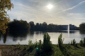 Kahnweiher im Kölner Stadtwald. Wie beeinflusst urbane Biodiversität die Gesundheit?