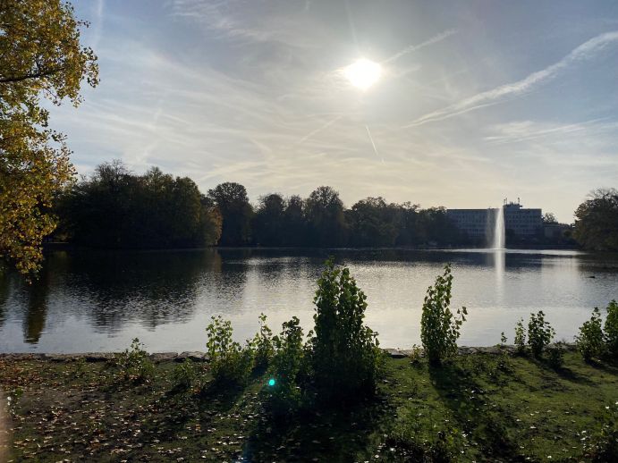 Kahnweiher in the Cologne city forest. How does urban biodiversity influence health? Kahnweiher in the Cologne city forest. How does urban biodiversity influence health?