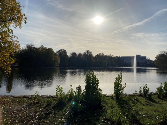 Kahnweiher in the Cologne city forest. How does urban biodiversity influence health?