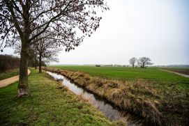 Die Beispielfläche für das Planspiel, Erftstadt Liblar-West, war von der Flut 2021 teilweise überschwemmt 