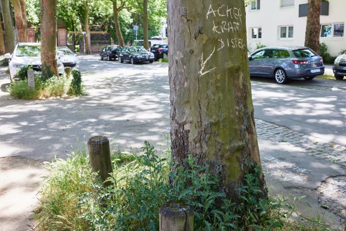 Hinweis auf ein daneben wachsendes Kraut mit Kreide an einen Baum geschrieben.