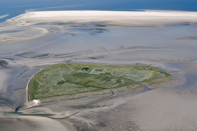 Luftaufnahme von Hallig Süderoog