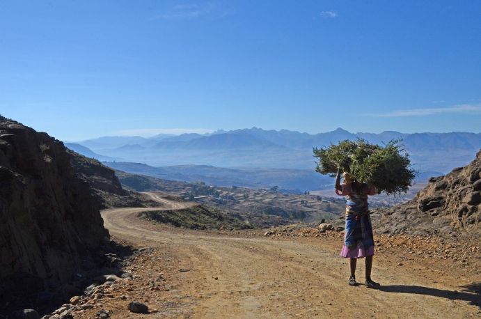 In den Familien im westlichen und südlichen Afrika bestellen vor allem Frauen die Felder. In den Familien im westlichen und südlichen Afrika bestellen vor allem Frauen die Felder.