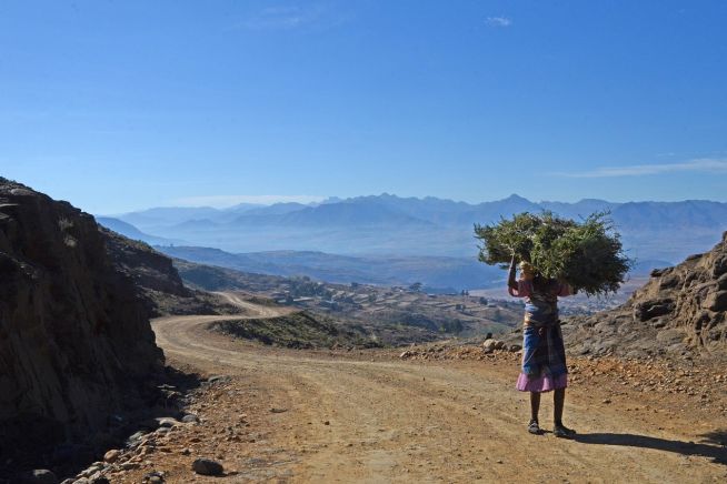 In western and southern Africa mainly women cultivate the fields.