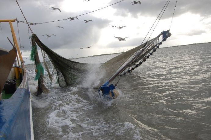 Krabbenfischen für die Forschung