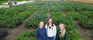 Die Wissenschaftlerinnen Vanda Pucikova, Katja Witzel und Franziska Hanschen vor dem Vergleichsanbau von 318 Kohlgemüsesorten am Leibniz-Institut für Gemüse- und Zierpflanzenbau. Die Wissenschaftlerinnen Vanda Pucikova, Katja Witzel und Franziska Hanschen vor dem Vergleichsanbau von 318 Kohlgemüsesorten am Leibniz-Institut für Gemüse- und Zierpflanzenbau.