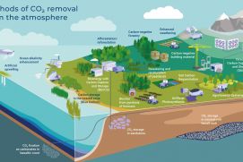 In order to achieve greenhouse gas neutrality by 2050, emission reductions as well as CO2 removal are necessary.