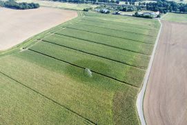 Von der Kläranlage zum Acker: Das BMBF-Forschungsprojekt FLEXITILITY startete dieses Jahr eine Pilotanlage an der Kläranlage Uebigau im Landkreis Elbe-Elster in Brandenburg. Hier misst das Projektteam relevante Parameter im Bewässerungswasser, auf den Pflanzen, im Grundwasser sowie auf der bewässerten Ackerfläche. So sollen Maßnahmen zur Einhaltung der neuen EU- Anforderungen entwickelt werden.