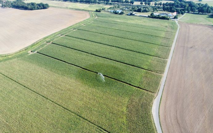 Von der Kläranlage zum Acker: Das BMBF-Forschungsprojekt FLEXITILITY startete dieses Jahr eine Pilotanlage an der Kläranlage Uebigau im Landkreis Elbe-Elster in Brandenburg. Hier misst das Projektteam relevante Parameter im Bewässerungswasser, auf den Pflanzen, im Grundwasser sowie auf der bewässerten Ackerfläche. So sollen Maßnahmen zur Einhaltung der neuen EU- Anforderungen entwickelt werden. Von der Kläranlage zum Acker: Das BMBF-Forschungsprojekt FLEXITILITY startete dieses Jahr eine Pilotanlage an der Kläranlage Uebigau im Landkreis Elbe-Elster in Brandenburg. Hier misst das Projektteam relevante Parameter im Bewässerungswasser, auf den Pflanzen, im Grundwasser sowie auf der bewässerten Ackerfläche. So sollen Maßnahmen zur Einhaltung der neuen EU- Anforderungen entwickelt werden.