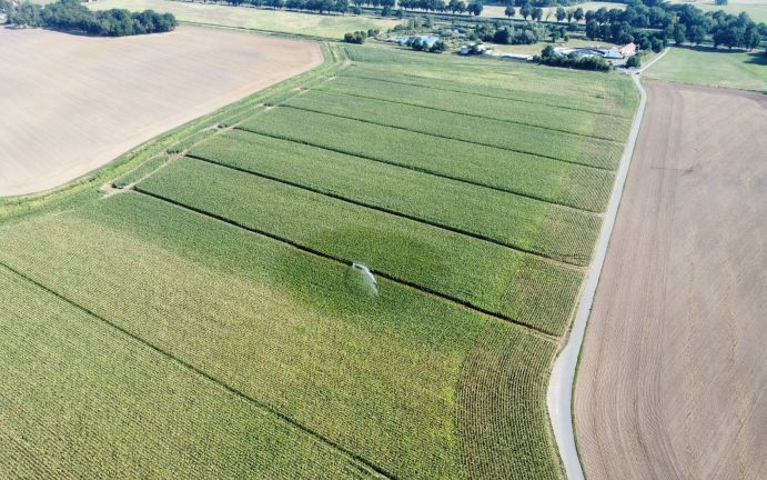 Von der Kläranlage zum Acker: Das BMBF-Forschungsprojekt FLEXITILITY startete dieses Jahr eine Pilotanlage an der Kläranlage Uebigau im Landkreis Elbe-Elster in Brandenburg. Hier misst das Projektteam relevante Parameter im Bewässerungswasser, auf den Pflanzen, im Grundwasser sowie auf der bewässerten Ackerfläche. So sollen Maßnahmen zur Einhaltung der neuen EU- Anforderungen entwickelt werden.