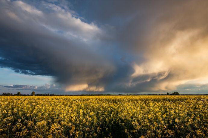 Durch den Klimawandel erhöhen sich die Häufigkeit und Intensität von Extremwetterereignissen auch in Deutschland. Forschende berechnen im Rahmen der BMBF-Fördermaßnahme ClimXtreme II, was das für die Zukunft bedeutet. 