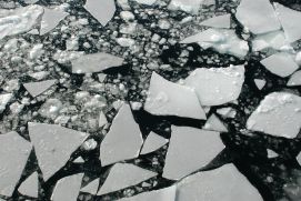 Why do we need better sea ice projections?