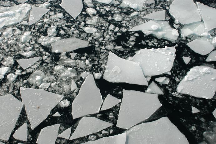 Why do we need better sea ice projections?