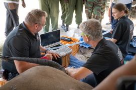 Frank Göritz (IZW), Thomas Hildebrandt (IZW) und
Susanne Holtze (IZW) beim ihrem Aufenthalt in Kenia. 
