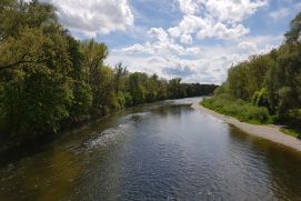 Isarauen bei Freising