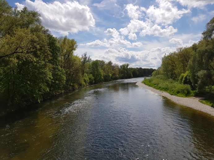 Isarauen bei Freising