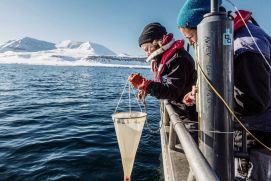 AWI-Biologin Dr. Clara Hoppe (rechts) und Dr. Klara Wolf nehmen Algenproben aus dem Kongsfjord, Spitzbergen.