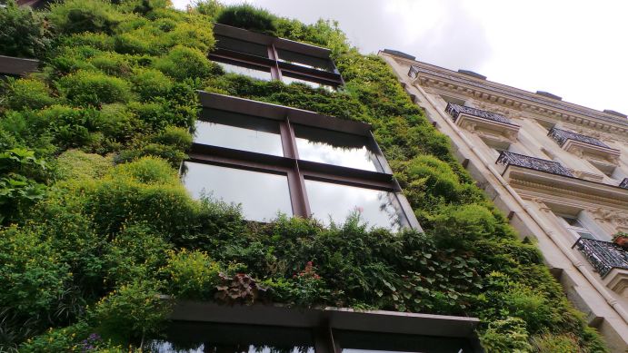 BMBF-Verbundprojekte haben vielfältige Lösungen für mehr Klimaresilienz in Städten und Regionen erforscht. BMBF-Verbundprojekte haben vielfältige Lösungen für mehr Klimaresilienz in Städten und Regionen erforscht.