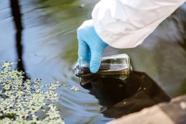 Seen und Talsperren sind komplexe biologische Systeme mit einer großen biologischen Diversität unterschiedlichster Lebewesen wie Bakterien, Algen, Protozoen, Pilzen sowie Pflanzen und Tiere.