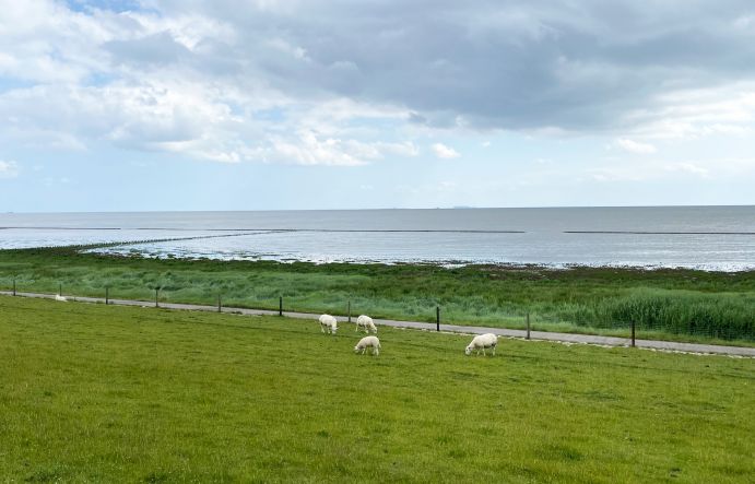 Land-Meer-Übergangzonen am Wattenmeer könnten aufgrund der Folgen des Klimawandels gravierenden Veränderungen unterliegen. Land-Meer-Übergangzonen am Wattenmeer könnten aufgrund der Folgen des Klimawandels gravierenden Veränderungen unterliegen.