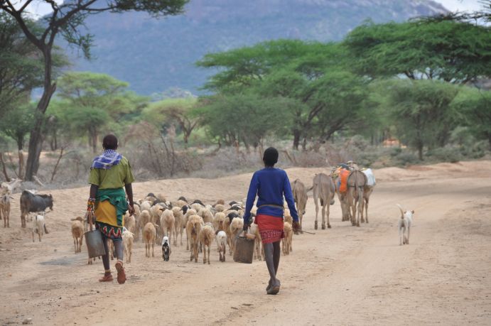 Beim Deutschen IIASA-Tag werden BMBF-geförderte Projekte vorgestellt, die beispielsweise zum Thema nachhaltige Landnutzung in Subsahara-Afrika forschen. Beim Deutschen IIASA-Tag werden BMBF-geförderte Projekte vorgestellt, die beispielsweise zum Thema nachhaltige Landnutzung in Subsahara-Afrika forschen.
