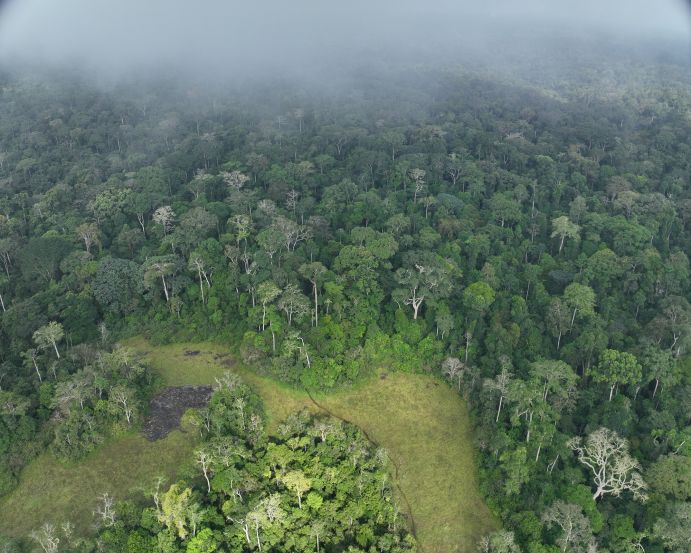 Das Konsortium führt Bodenmessungen an fünf Standorten in Kamerun und der Demokratischen Republik Kongo durch. Das Konsortium führt Bodenmessungen an fünf Standorten in Kamerun und der Demokratischen Republik Kongo durch.