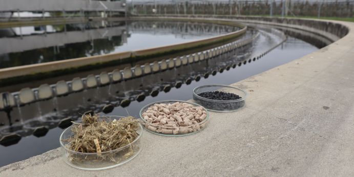 Der Weg zur biogenen Aktivkohle: Links grasartiges Landschaftspflegematerial, in der Mitte daraus produzierte Pellets, die über Pyrolyse und Aktivierung zur biogenen Aktivkohle (rechts) verarbeitet wurden. Der Weg zur biogenen Aktivkohle: Links grasartiges Landschaftspflegematerial, in der Mitte daraus produzierte Pellets, die über Pyrolyse und Aktivierung zur biogenen Aktivkohle (rechts) verarbeitet wurden.