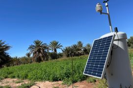 An drei Standorten in Marokko installierte das SuLaMo-Projektteam Versuchsanlagen, um das optimierte Wassermanagement in den unterschiedlich trockenen Regionen zu testen und die Erträge sowie Qualität des angebauten Gemüses zu analysieren.
