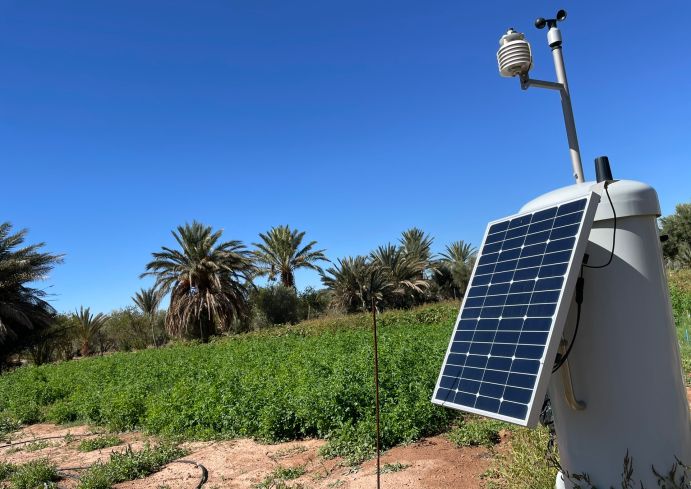 The SuLaMo project team installed pilot plants at three locations in Morocco to test optimised water management in regions with varying degrees of aridity and to analyse the yields and quality of the vegetables grown. The SuLaMo project team installed pilot plants at three locations in Morocco to test optimised water management in regions with varying degrees of aridity and to analyse the yields and quality of the vegetables grown.