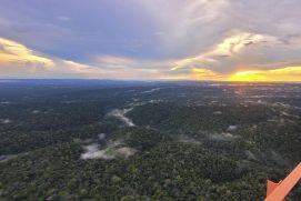 Blick über den Amazonas-Regenwald von einer Plattform des ATTO-Messturms aus: Vom über 325 Meter hohen Turm werden für die Klimaforschung wichtige Daten aus der Atmosphäre geliefert.