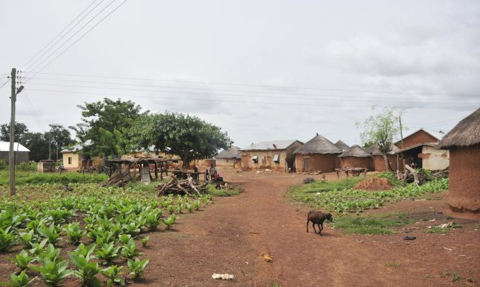 In vielen afrikanischen Regionen ist die lokale Landwirtschaft in der Hand von kleinbäuerlichen Betrieben. Damit sich diese besser an die Folgen der globalen Erwärmung anpassen und ihre Produktivität auf ihrem Land erhöhen können, forscht das Projekt COINS zu passenden, lokalen Anbaumethoden. In vielen afrikanischen Regionen ist die lokale Landwirtschaft in der Hand von kleinbäuerlichen Betrieben. Damit sich diese besser an die Folgen der globalen Erwärmung anpassen und ihre Produktivität auf ihrem Land erhöhen können, forscht das Projekt COINS zu passenden, lokalen Anbaumethoden.