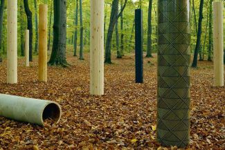 In the BMBF-funding priority entitled &ldquo;Sustainable Forest Management&ldquo; as part of the BMBF Framework Programme &ldquo;Research for Sustainability&ldquo;, transdisciplinary research, innovative product and technology developments for sustainable forest management and for sustainable land management, for the improvement of the forestry-timber value added chain as well as for the provision of the future are supported. The measure shall enhance the national and international competitiveness of the forestry-timber sector and makes a contribution to the national sustainability strategy as well as to the Charter for Timber of the Federal Government.  Research fields of the funding measure:

Forest today and in future: Scenarios and visions. Overall concepts, visions and trends in future forest and timber management? What decisions are required?
Sustainable management, use and development of forests and densely wooded landscapes: Improvement of people&rsquo;s quality of life, provision of natural, social and economic resources and benefits of forests
Development of value creation potentials along the forestry-timber chain. How can regional, supra-regional and global forestry-timber value added chains be optimized and further developed in a profit-oriented, ecological and socially fair manner?

Within the period from 2004-2010, the BMBF supported 26 collaborative projects with a total funding volume of approx. 30 million euros. The internationalisation of the funding measure was achieved by the participation in three transnational call announcements of the ERA-Nets WoodWisdom-Net (2006, 2009, 2010) on the one hand, and by networking with the DAAD-Special Programme: Research and Study for Sustainability on the other hand, and by the connection with the Scientific-Technical Cooperation between the PR of China and Germany.  The funding measure is concluded. Information on the funded projects and their results are available at the central Internet portal of the funding priority.