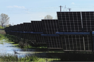 MoorPower verbindet Freiflächen-Photovoltaik mit der Wiedervernässung von Mooren und mit Paludikultur.