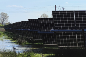 MoorPower verbindet Freiflächen-Photovoltaik mit der Wiedervernässung von Mooren und mit Paludikultur.