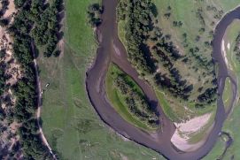 Die Aufnahme zeigt den Restbestand von Weichholz- und Hartholz-Auenwald im Unterlauf des Kharaa (Luftbild einer Kleindrohne, Bildausschnitt ca. 400 x 150 m).