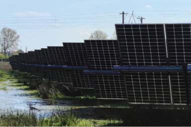 MoorPower verbindet Freiflächen-Photovoltaik mit der Wiedervernässung von Mooren und mit Paludikultur.