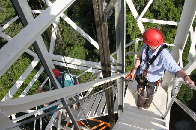 Am 325 Meter hohen Turm ATTO führen Forschende seit über zehn Jahren mitten im Regenwald Messungen durch, um Erkenntnisse über die langfristigen Auswirkungen des Klimawandels auf den Wald und die Atmosphäre zu gewinnen