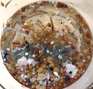 Probe mit Plastikteilchen