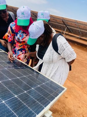 Solarpark Niamey: Bestimmung der verwendeten Solarpaneel-Typen auf dem Feld