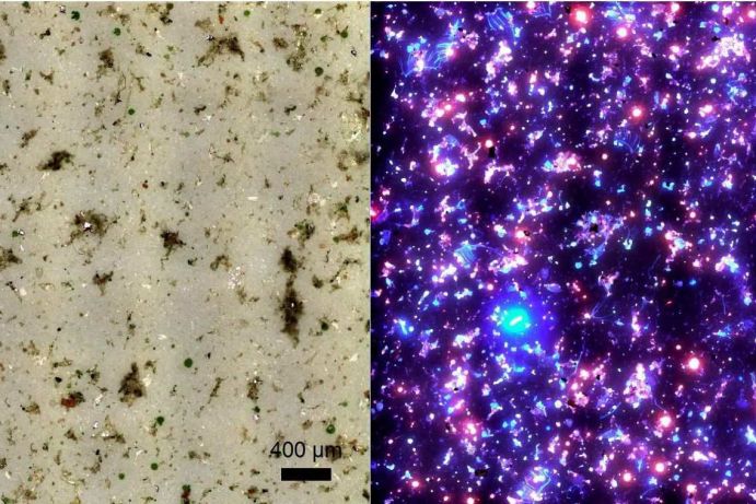 Oberflächenwasserprobe, filtriert (20 µm), Auflicht und Fluoreszenz Mit Auflicht bzw. Fluoreszenzmodul sichtbare natürliche organische und anorganische Partikel, die aus einer Oberflächenwasserprobe durch Filtration isoliert wurden. (2016)
Die Oberflächenwasserprobe wird im Rahmen des Verbundprojekts "Mikroplastik im Wasserkreislauf" (MiWa) untersucht. Der MiWa Verbund strebt an, eine erste nachvollziehbare und übergreifende Bewertung für Mikroplastik (MP) im anthropogen geprägten Wasserkreislauf, vergleichbar zu den organischen Spurenstoffen, zu erarbeiten.
Das Forschungsvorhaben „MiWa“ wird im Rahmen der BMBF-Fördermaßnahme „Risikomanagement von neuen Schadstoffen und Krankheitserregern im Wasserkreislauf (RiSKWa)“ im Förderschwerpunkt „Nachhaltiges Wassermanagement (NaWaM)“ gefördert.
