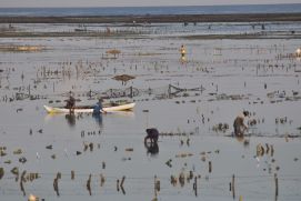 Fishermen in Indonesia