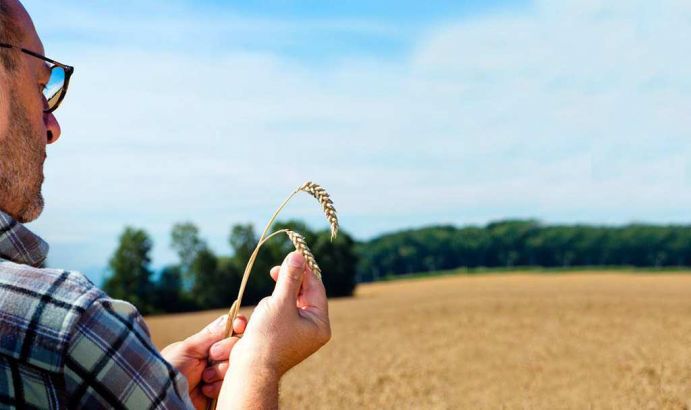 Auf das Phosphat kommt es an