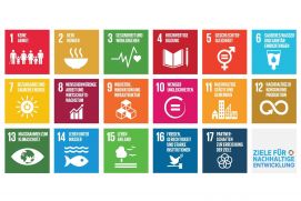 Sustainable Development Goals