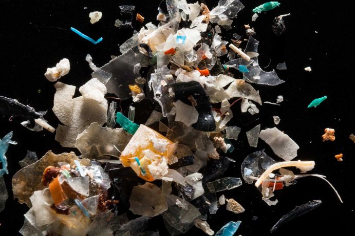 Mikroplastik-Proben der Chespepeake Bay, der gr&ouml;&szlig;ten Flussm&uuml;ndung der USA, die in den Atlantischen Ozean flie&szlig;t.